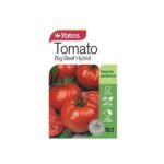 Tomato-Big-Beef-Hybrid-Yates_600x.jpg