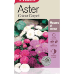 aster.png