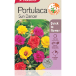 portulaca.png