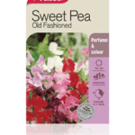 sweet_pea_old_fashioned.png