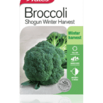 yfc32853n-broccoli-shogun-w-product.png